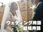�����p��E�u���C�_���p��